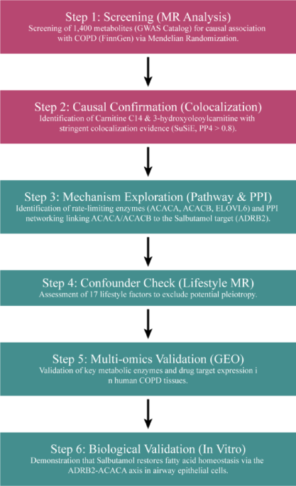Unraveling Cookie Jam: The Dual Meaning Behind 'Dates' Explained